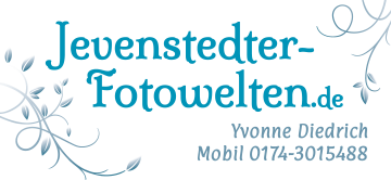 Logo Fotografin